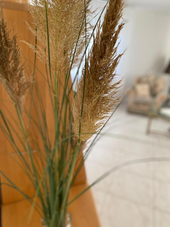 באד נוישטאדט אן דר סאאלה Apartment Traumzeit מראה חיצוני תמונה